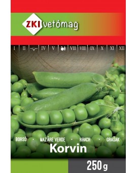 korvin-250g